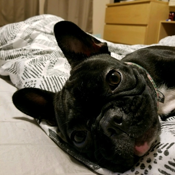 Meet your Posher, C. - Picture 1 of 1